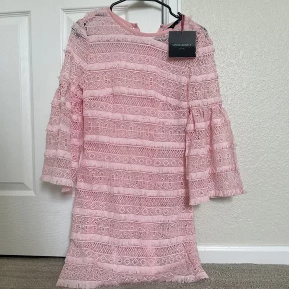 open lace back dress Mini Cordelia Dress in Desert Rose Gingham
